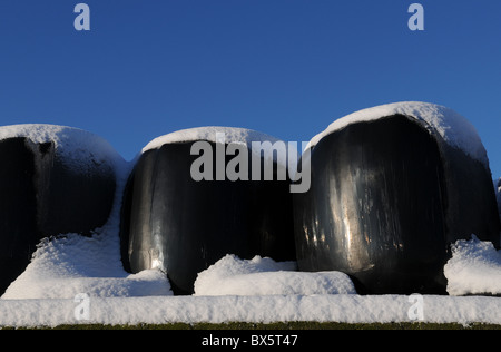 Heuballen mit Schnee bedeckt Stockfoto