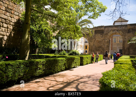 Patio del Leon / Lion Hof an der Real Alcazar De Sevilla / Sevilla. Sevilla, Spanien. Stockfoto