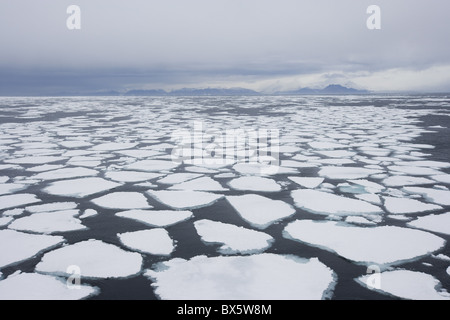 Eisscholle, Treibeis, Grönland, Arktis, Polarregionen Stockfoto