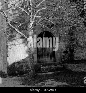 Kastanie und alte Tür im 12. Jahrhundert Romanesque Le Thoronet Abbey, Frankreich. Stockfoto