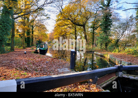 Schmale Boote auf dem Basingstoke Kanal bei Woodham, Surrey Stockfoto