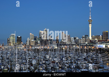 Westhaven, Waitemata Harbour, Auckland, Nordinsel, Neuseeland, Pazifik Stockfoto