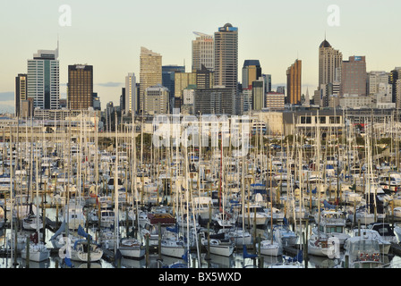 Westhaven, Waitemata Harbour, Auckland, Nordinsel, Neuseeland, Pazifik Stockfoto