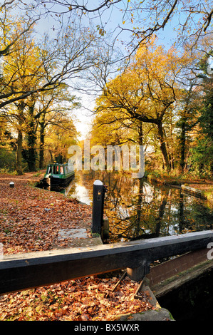 Schmale Boote auf dem Basingstoke Kanal bei Woodham, Surrey Stockfoto