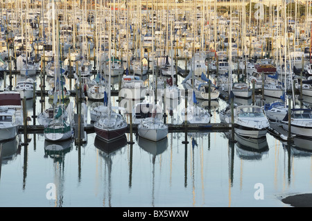 Westhaven, Waitemata Harbour, Auckland, Nordinsel, Neuseeland, Pazifik Stockfoto