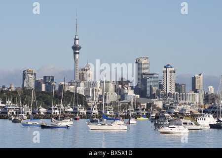 Okahu Bucht und Skyline, Auckland, Nordinsel, Neuseeland, Pazifik Stockfoto