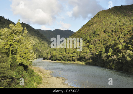 Waioeka River, Waioeka Gorge Scenic Reserve, Bay of Plenty, North Island, Neuseeland, Pazifik Stockfoto