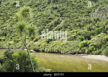 Pororari River, West Coast, Südinsel, Neuseeland, Pazifik Stockfoto