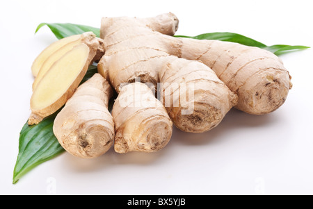 Frischer Ingwer mit verlässt isolierten auf weißen Hintergrund. Stockfoto
