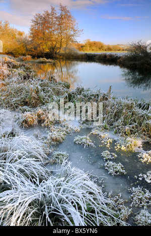 Winter-Flusslandschaft Stockfoto