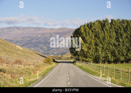 Lindis Pass Tarras Road, in der Nähe von Tarras, Otago, Südinsel, Neuseeland, Pazifik Stockfoto