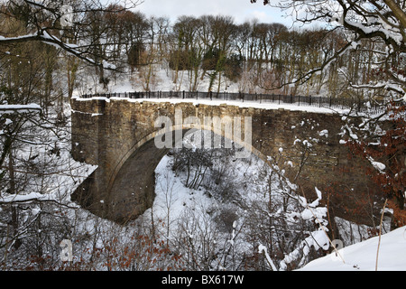 Die causey Arch, die älteste erhaltene Eisenbahnbrücke der Welt. In der Nähe von Stanley, Co Durham, England, Großbritannien Stockfoto