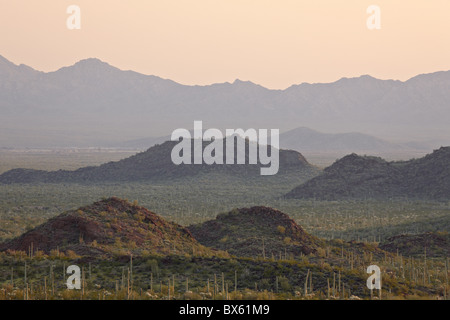 Sonnenuntergang von der Diablo Berge, Organ Pipe Cactus National Monument, Arizona, Deutschland, Nordamerika Stockfoto