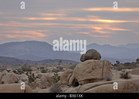 Trübe Sonnenaufgang, Joshua Tree Nationalpark, Kalifornien, Vereinigte Staaten von Amerika, Nordamerika Stockfoto