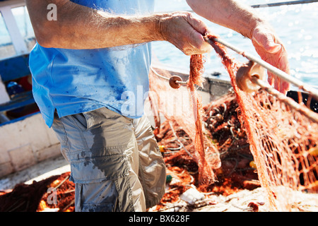 Fischer ziehen in Netzen Stockfoto