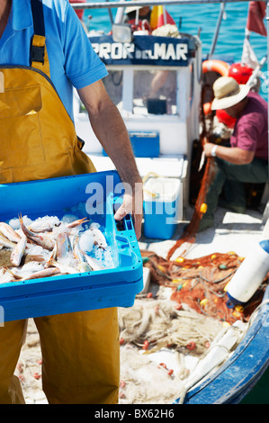 Fischer hält Tablett mit frischem Fisch Stockfoto