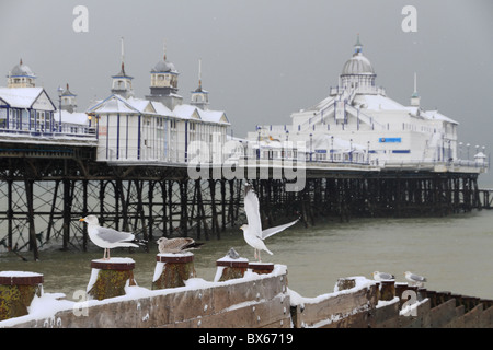 Schneefall auf Eastbourne Strandpromenade, East Sussex, England. Stockfoto