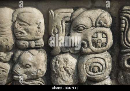 Maya-Glyphen in Tempel 22, Copan archäologische Park, UNESCO-Weltkulturerbe, Copán, Honduras, Mittelamerika Stockfoto