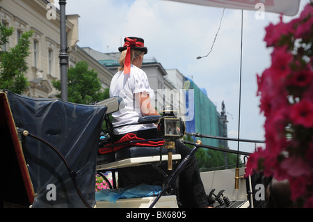 Frau reitet Pferdekutsche durch die Altstadt von Krakau in Polen, Toursit Ziel Stockfoto