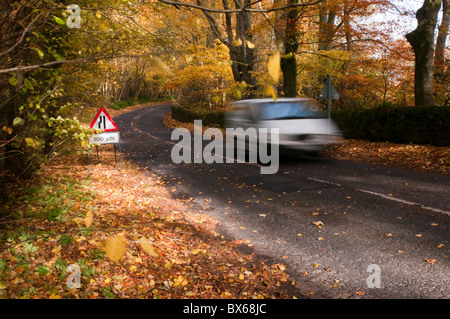 Ein weißer Lieferwagen Beschleunigung entlang einer Landstraße im Herbst Stockfoto