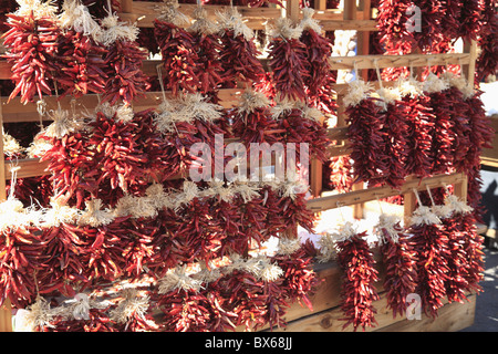 Getrocknete rote Chilischoten, Chili Ristras, Santa Fe, New Mexico, Vereinigte Staaten von Amerika, Nordamerika Stockfoto