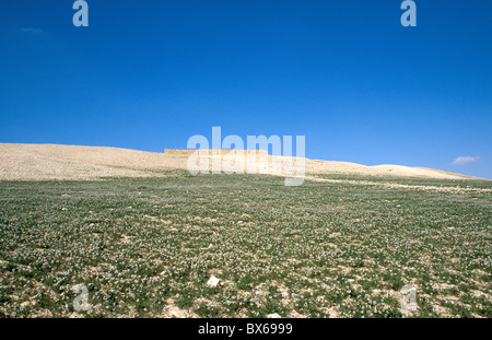 Die israelitischen Festung in Tel Arad in der Negev-Wüste, Israel, Nahost Stockfoto