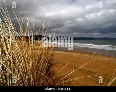 Dünengebieten Grass auf Sanddünen mit grauen bewölktem Himmel Stockfoto