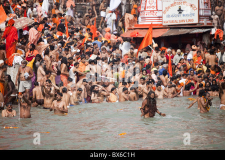 Sadhus bei einem königlichen Bad (Sahi Snan) während Kumbh Mela in Haridwar, Uttar Pradesh, Indien, Asien Stockfoto