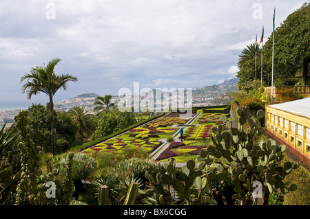 Blick über den Botanischen Garten, Funchal, Madeira, Portugal, Europa Stockfoto