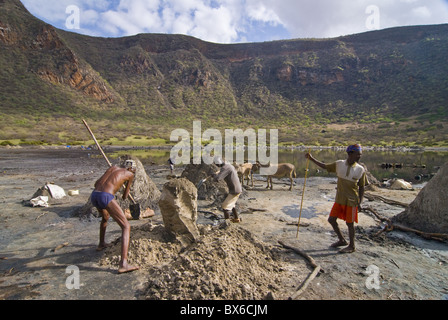 Arbeitnehmer, die auf der Suche nach Salz, El Sod Kratersee, Äthiopien, Afrika Stockfoto