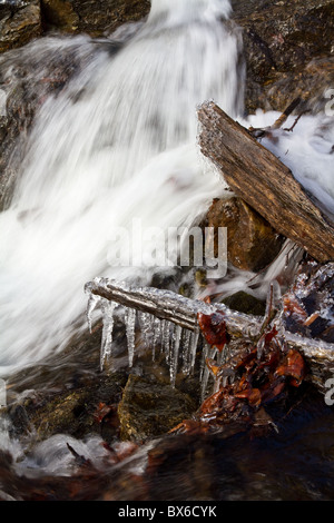 Eiszapfen Form auf Zweigen an der Seite eines Winter-Streams Stockfoto