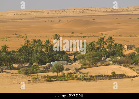 Kleine Oase zwischen Sanddünen bei Sonnenuntergang, in der Nähe von Chinguetti, Mauretanien, Afrika Stockfoto