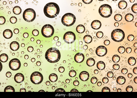 Nach Regen Stockfoto