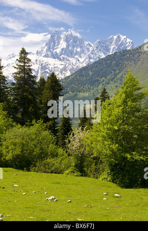 Wunderbare Bergwelt des Svanetia mit Berg Uschba im Hintergrund, Georgien, Kaukasus, Zentralasien, Asien Stockfoto