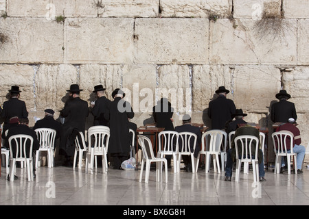 Chassidischen Juden beten an der Klagemauer, Jerusalem, Israel, Nahost Stockfoto