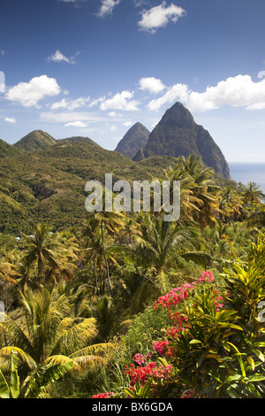 Die tropische Üppigkeit der Insel mit den Pitons im Heck in Soufrière, St. Lucia, Windward Islands Stockfoto