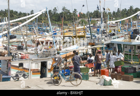 Fischerei-Hafen, Bj. 2004 Tsunami in Asien, Purunawella, östlich von Galle, Südküste von Sri Lanka, Asien mit uns Hilfe Stockfoto