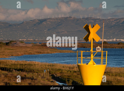 El Garxal, Illa de Sant Antoni, Naturpark des Delta de Ebre, Tarragona, Spanien Stockfoto