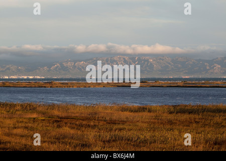 El Garxal, Illa de Sant Antoni, Naturpark des Delta de Ebre, Tarragona, Spanien Stockfoto