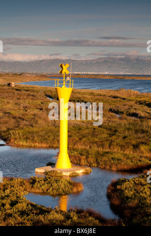 El Garxal, Illa de Sant Antoni, Naturpark des Delta de Ebre, Tarragona, Spanien Stockfoto