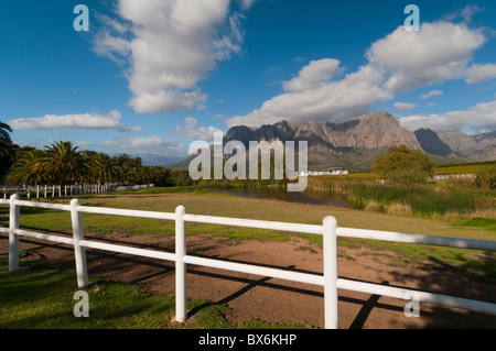 Zorgvliet Wine Estate, Stellenbosch, Kapprovinz, Südafrika, Afrika Stockfoto