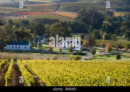Zorgvliet Wine Estate, Stellenbosch, Kapprovinz, Südafrika, Afrika Stockfoto