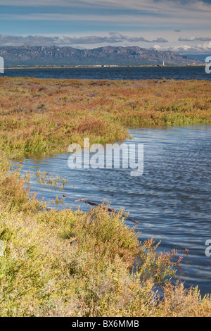 El Fangar, natürlichen Park Delta de Ebre, Tarragona, Spanien Stockfoto