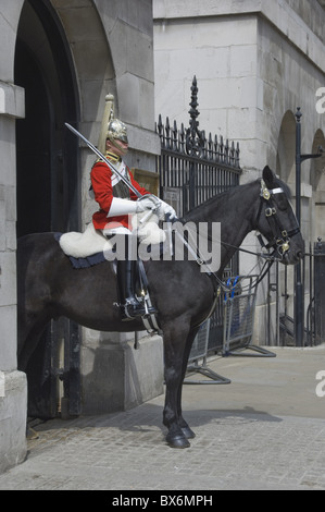 Ein Pferd-Guard in Whitehall, London, England, Vereinigtes Königreich, Europa Stockfoto