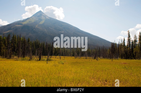 Blick auf die Berge in die Farbtöpfe, Kootenay National Park, Britisch-Kolumbien, Kanada Stockfoto