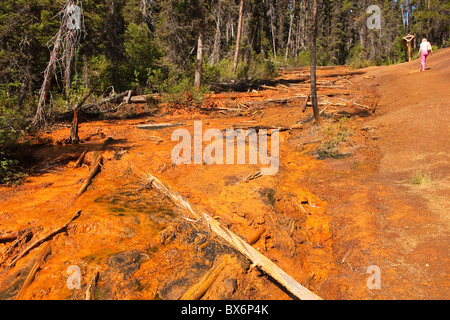 Ein Tourist besucht die ockerfarbene Landschaft an die Farbtöpfe, Kootenay National Park, Britisch-Kolumbien, Kanada Stockfoto