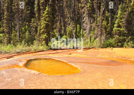 Ocre Mineral-Pool an die Farbtöpfe, Kootenay National Park, Britisch-Kolumbien, Kanada Stockfoto