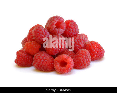 Himbeeren / Himbeeren (Rubus Idaeus) Stockfoto