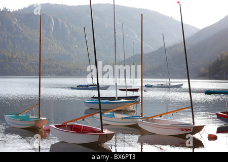 Segelboote direkt an der Küste während am frühen Morgen, Herzinfarktes See, Tuolumne County, Kalifornien, Stanislaus National Forest Stockfoto
