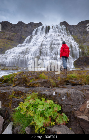 Beeindruckenden Dynjandifoss Wasserfall im Arnafjordur-Fjord in die Westfjorde (Vestfirðir), Island, Polarregionen Stockfoto